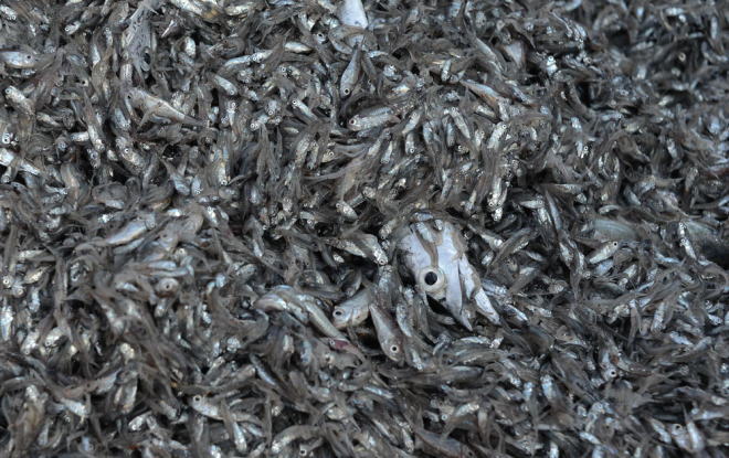 按此在新窗口瀏覽圖片