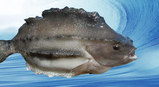 1679554559604933.jpg 1679553756644.jpg